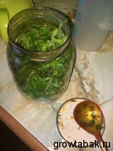 готовое масло из чистотела